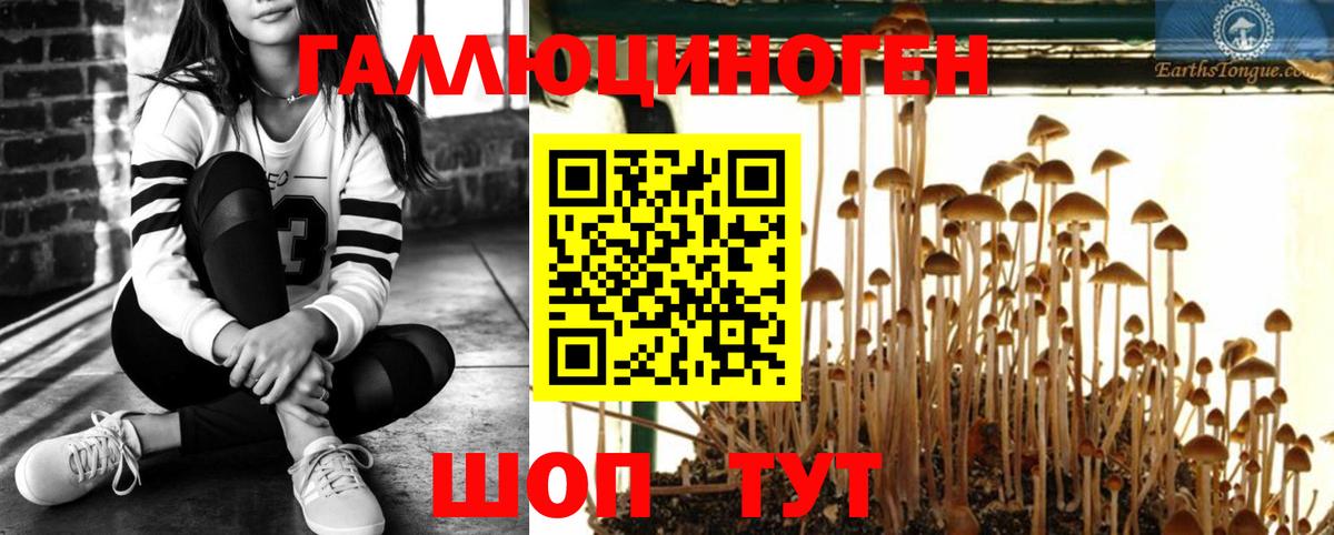 Новоалтайск  Псилоцибиновые грибы прущие грибы  Галлюциногенные грибы мухоморы  Вход с VPN 