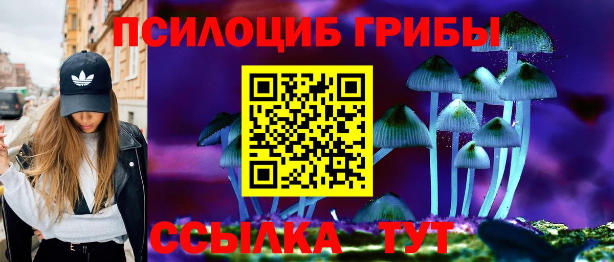 Псилоцибиновые грибы мицелий Новоалтайск