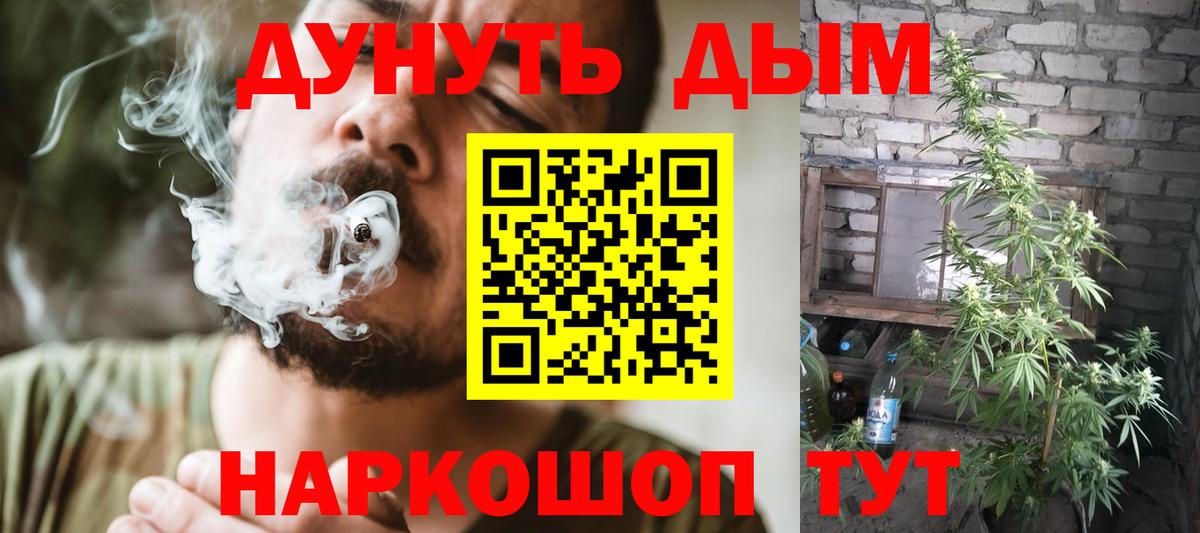 Каннабис ГИДРОПОН  Шишки марихуана планчик  Новоалтайск  Вход с VPN  Шишки марихуана план 